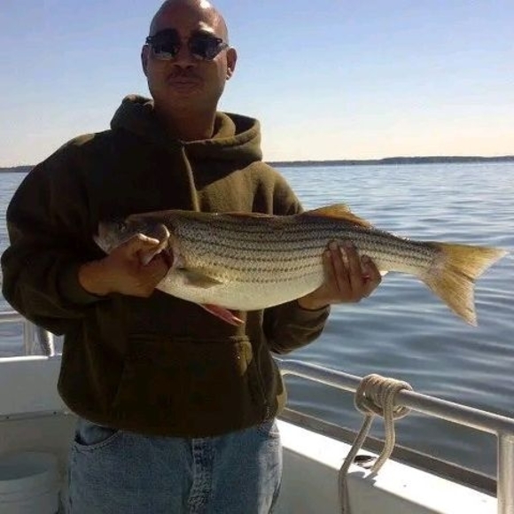 Meet your Posher, Paul - Picture 1 of 1